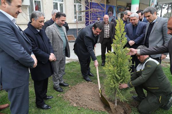 کاشت نهال به وسیله مدیر عامل بانک ملی ایران به مناسبت روز درختکاری